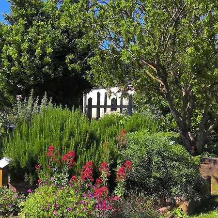 La Maison Lourego Myosotis Appartement *